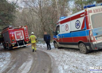 fot. fb. Brzesko112.pl - Brzeski Portal Ratowniczy