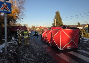 WhatsApp Image 2025 12 02 at 14.56.29