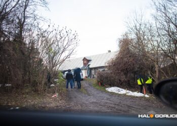 fot. halogorlice.info