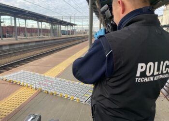 Wypadek na dworcu w Tarnowie. Kobieta trafiła do szpitala 2 fot. tarnowska policja