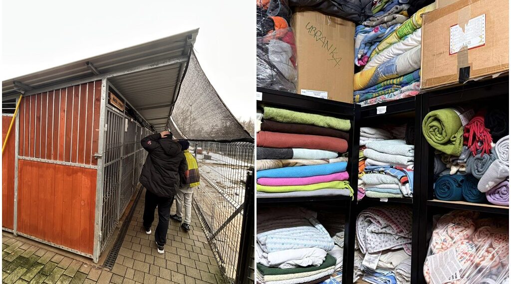 schronisko pieski pomoc zima