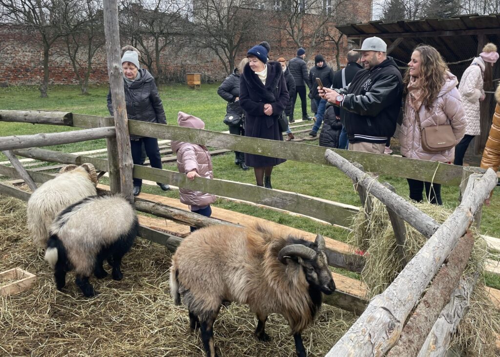 zywa szopka scaled 1