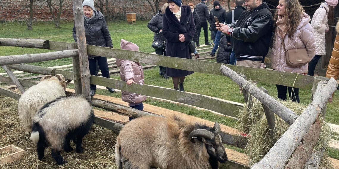 zywa szopka scaled 1