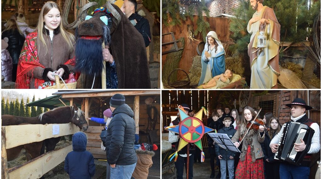 zywa szopka biegonice