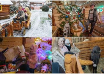 zywa szopka zeleznikowa