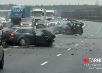 fot. 112Tarnow.pl - Tarnowski Portal Ratowniczy