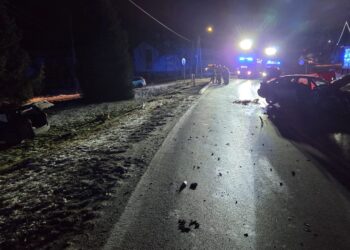 fot. Komenda Miejska Państwowej Straży Pożarnej w Tarnowie