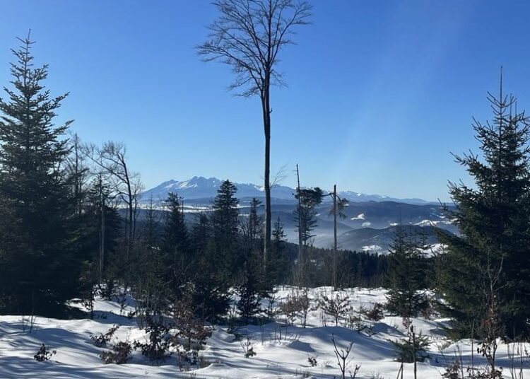 fot. Grupa Krynicka GOPR