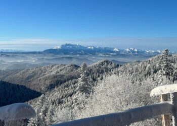 fot. Schronisko PTTK Przehyba