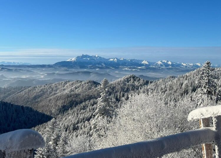 fot. Schronisko PTTK Przehyba