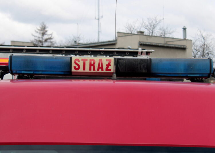 zdj. poglądowe/archiwum RDN