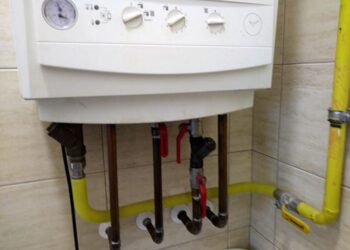 zdj. poglądowe/archiwum RDN