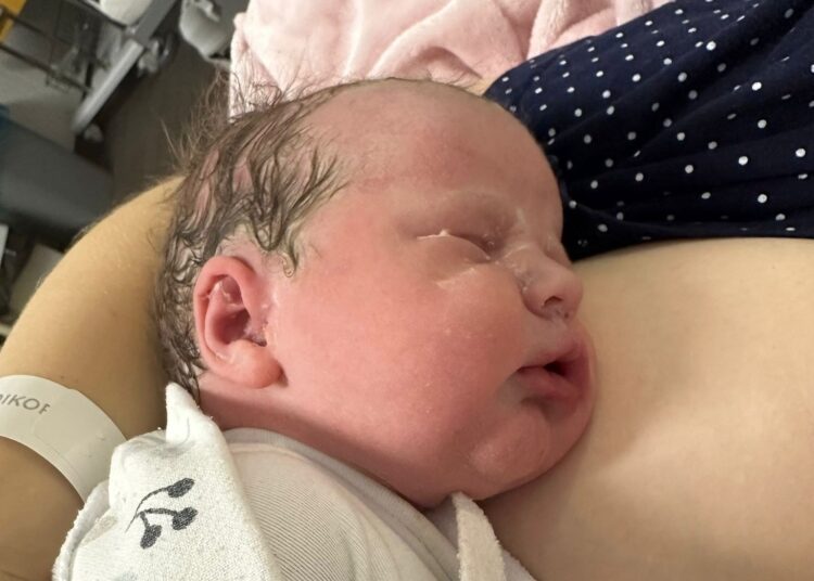 fot. szpital Medikor