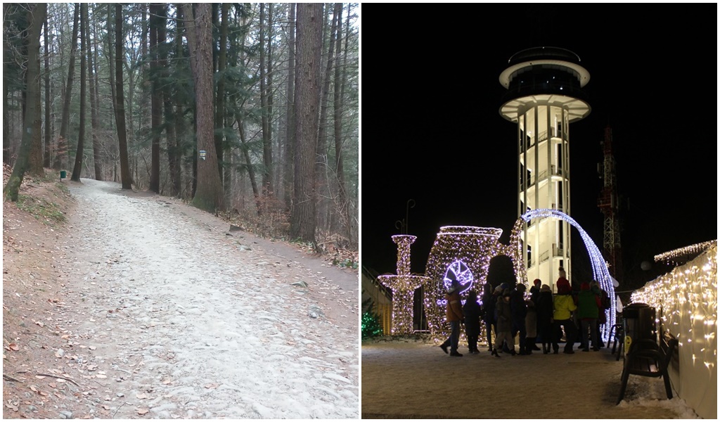 Wieża już gotowa. Samorząd też szykuje własne inwestycje. Co dzieje się na Górze Parkowej?