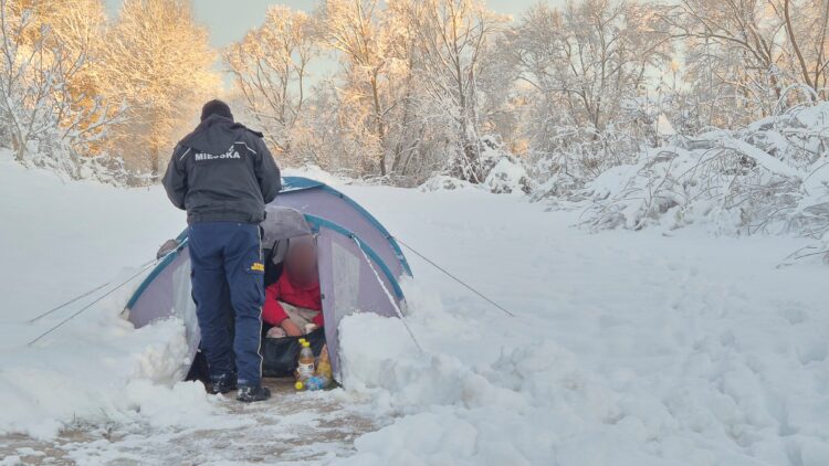 fot. Straż Miejska w Tarnowie