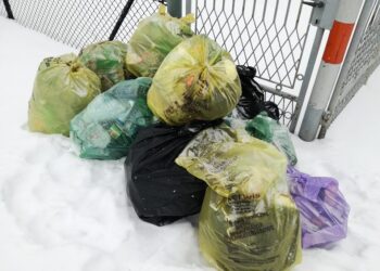 Zdjęcie ilustracyjne