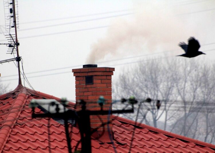 zdjęcie ilustracyjne