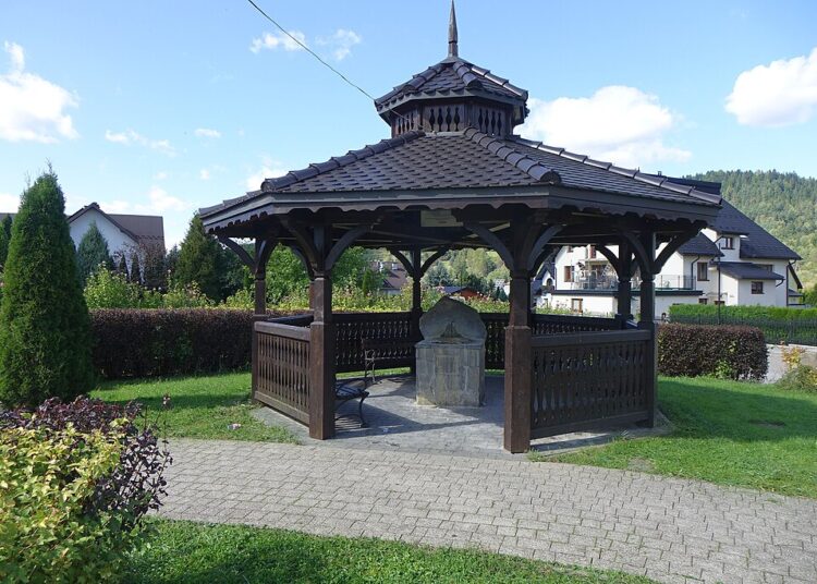 fot. zdjęcie ilustracyjne, Jerzy Opioła, CC BY-SA 4.0 , via Wikimedia Commons