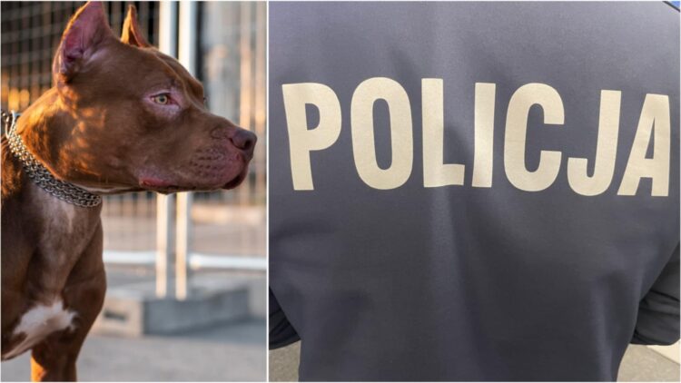 fot. zdjęcie ilustracyjne/freepik