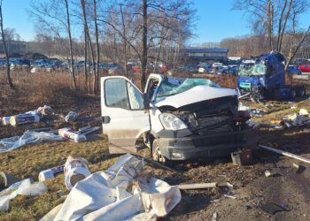 fot. Państwowa Straż Pożarna w Tarnowie