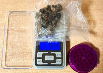 fot. Policja Nowy Sącz