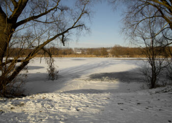 fot. Zdjęcie ilustracyjne/Freepik