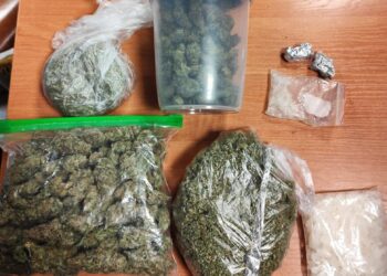 fot. Komenda Miejska Policji w Nowym Sączu