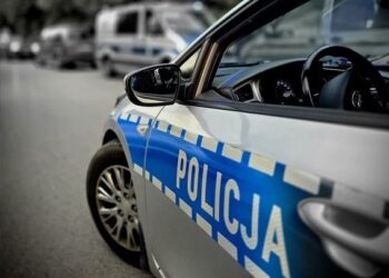 fot. Policja Limanowa