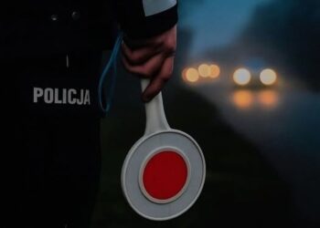 fot. Policja Limanowa