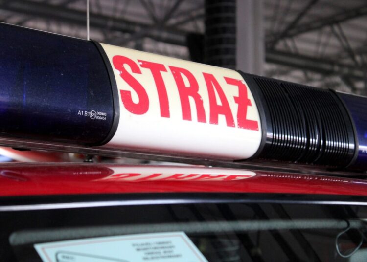 zdj. ilustracyjne, archiwum RDN