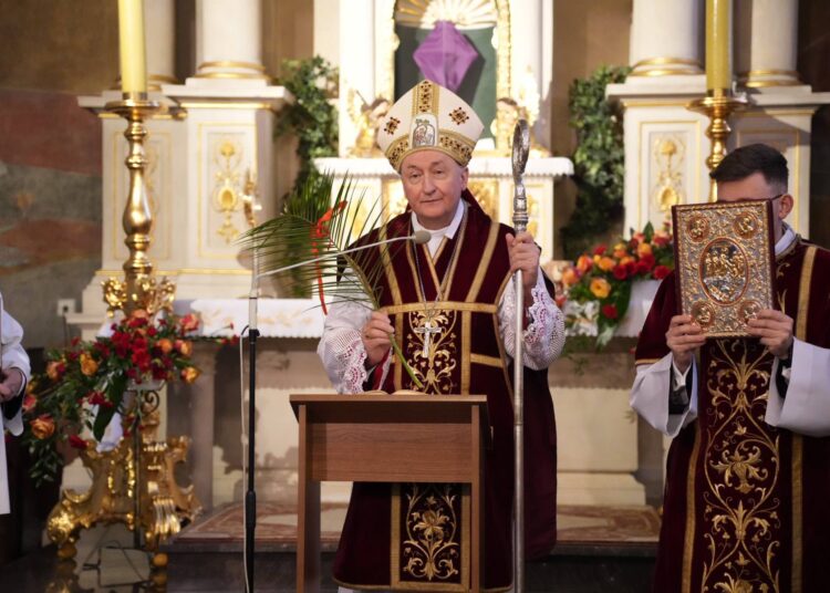 fot. ks. Tomasz Śpiewak - Diecezja Tarnów