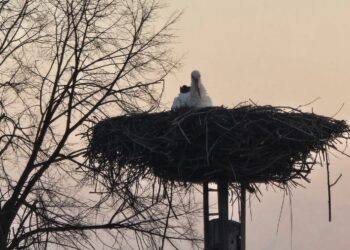 fot. fb: Biała, Gmina Tarnów