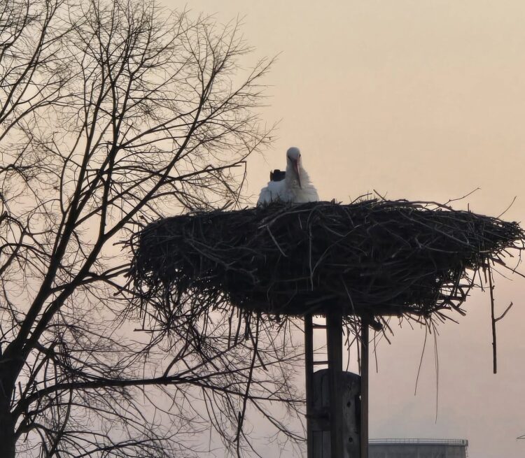 fot. fb: Biała, Gmina Tarnów