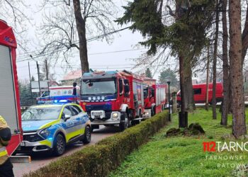fot. 112Tarnow.pl - Tarnowski Portal Ratowniczy