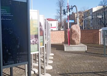 fot. Muzeum Ziemi Tarnowskiej