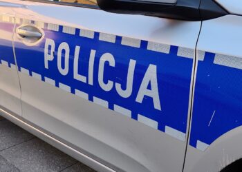 zdjęcie ilustracyjne