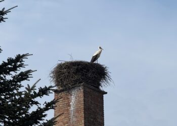 fot. Maria Grzegorczyk