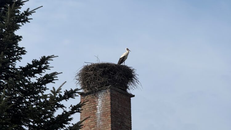 fot. Maria Grzegorczyk