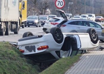 fot. KP PSP w Brzesku