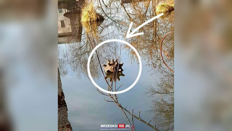 fot. Brzesko112.pl Brzeski Portal Ratowniczy