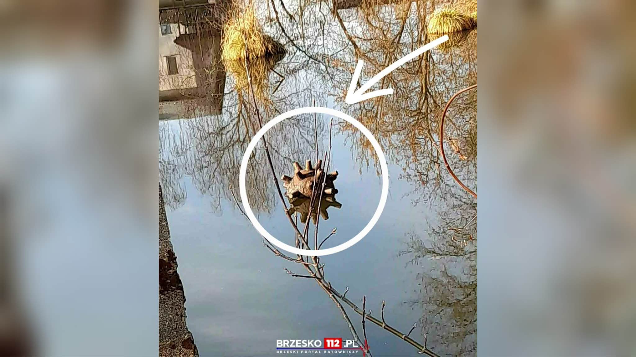 Mina morska w Brzesku? Nietypowe znalezisko w stawie