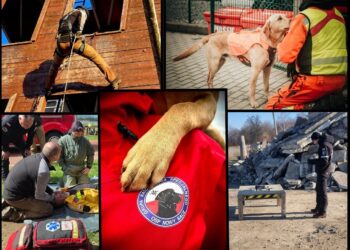 fot. Grupa Ratownictwa Specjalnego OSP Nowy Sącz