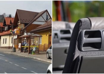 fot. własne/pixabay