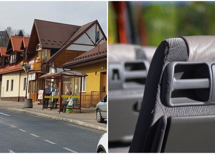 fot. własne/pixabay