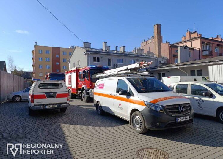 fot. Regionalny Reporter