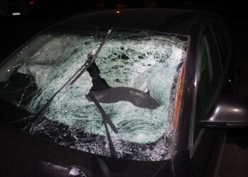 fot. Tarnowska Policja