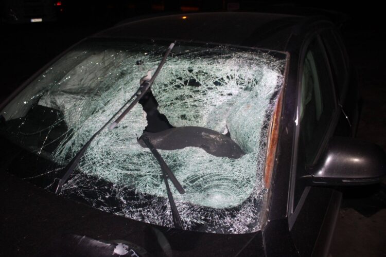 fot. Tarnowska Policja