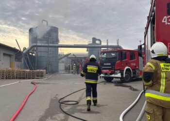 fot. KP PSP w Dąbrowie Tarnowskiej