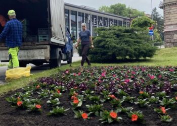 fot. arch. UM Tarnów