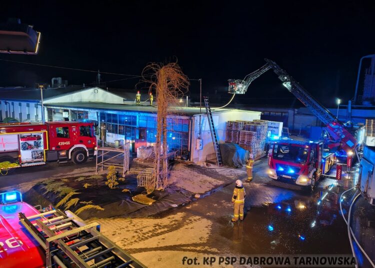 fot. KP PSP Dąbrowa Tarnowska